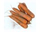 1 kg de carotte non lavée