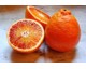 1 kg d'orange tarrocco (demeter)
