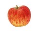 500 g de pomme reinette ( biodynamie)
