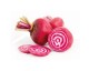 Betteraves roses - type Chioggia