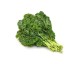 Choux Kale vert